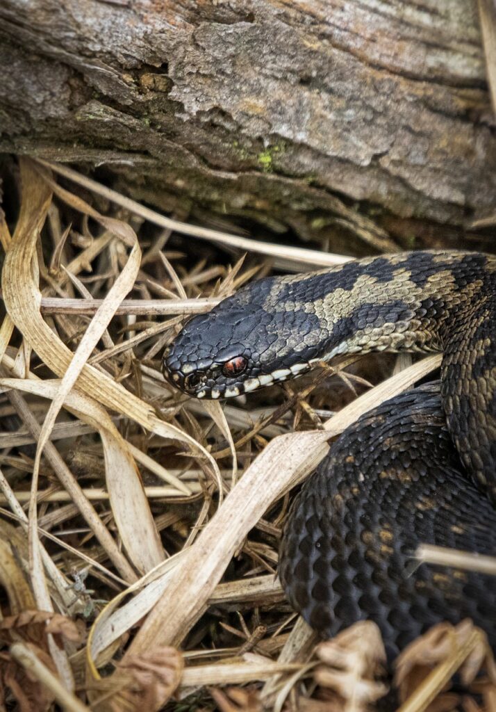 ASPの登録方法を初心者が知っておくべきポイントは？