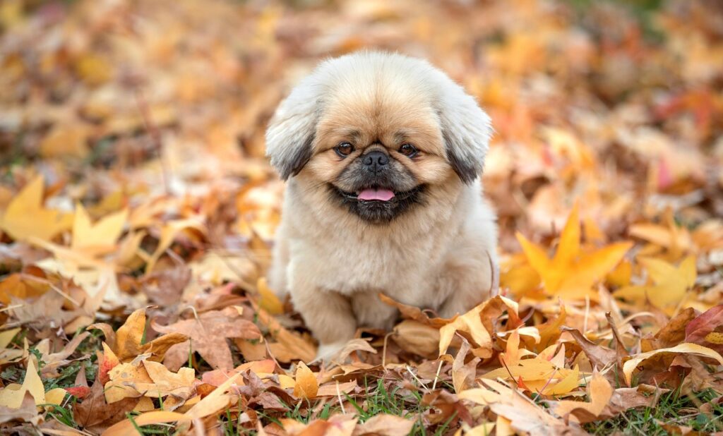 アフィリエイトで成功するための記事内容のポイントは？