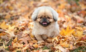 アフィリエイトで成功するための記事内容のポイントは？